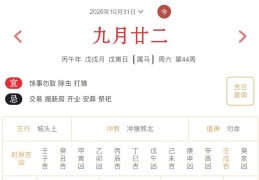2026年10月31日每日五行穿衣指数解读搭配