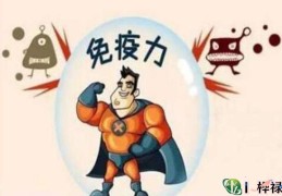 身体素质差易患病的八字特征