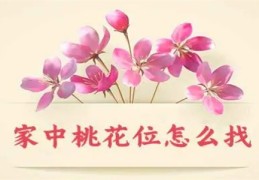 家里风水桃花位在哪里