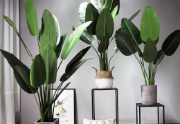 书房里适合摆什么风水摆件