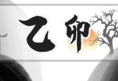 乙卯日柱的人好吗