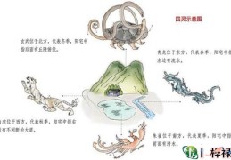风水学中的四象是什么
