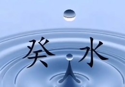 癸水命不是普通人是真的吗