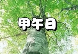 甲午日出生的人命好吗，甲午日各个时辰吉凶