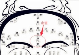 面相命宫详解