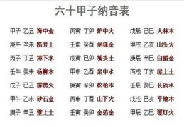 日柱纳音甲子的代表什么
