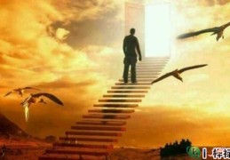 什么是财星为喜用神