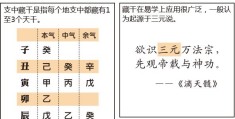 漫画学八字——地支藏干