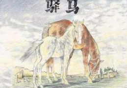 大运驿马星的影响