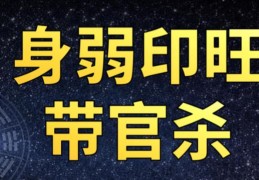 八字身弱官旺有印的人好吗