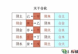 八字中天干合化主事