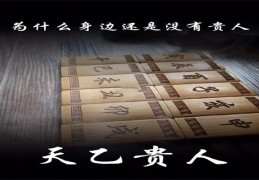 八字神煞天乙贵人详解大全，八字神煞天乙贵人论命