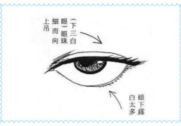 吊眼角的女人命运如何