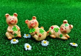 2024年犯太岁的生肖有哪几个生肖（属羊犯太岁2024年怎么化解）