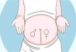 六卦之胎爻取法技巧（六爻占胎孕卦）