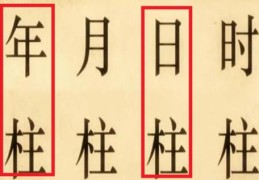 年柱日柱相合的命局代表什么
