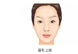 哪些相貌特征更易成为女强人（哪些相貌特征更易成为女强人呢）