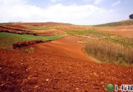 上等的八字格局