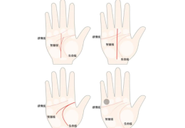事业一帆风顺的手相