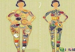 富有的体型特征