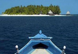 出国发展的命理特征