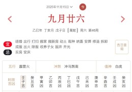 2025年11月15日每日五行穿衣指数解读搭配