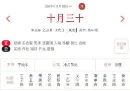 2024年11月30日每日五行穿衣指数解读搭配