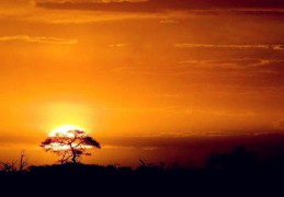 多套房哪个房子的风水对自己影响最大（多套房哪个房子的风水对他影响最大呢）