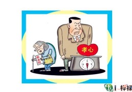 没孝心的八字特点有什么