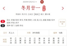 2024年12月21日每日五行穿衣指数解读搭配