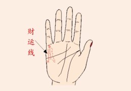 女人手相看财运解析