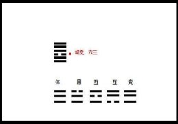 六爻动爻含义详解