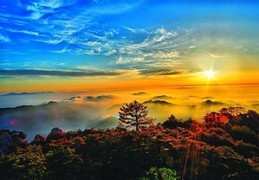 ​常用八字十神的组合