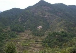 什么样的祖坟风水好