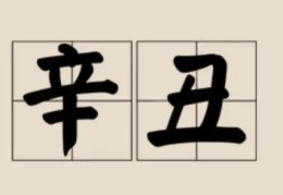 辛丑日柱的女命好吗