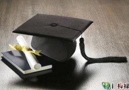 八字看学历方法