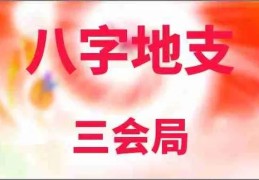 三会木局的运势特征