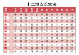 八字神煞十二长生详解