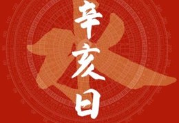 辛亥日出生的人命好吗，辛亥日各个时辰吉凶