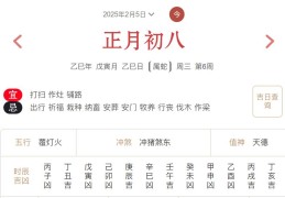 2025年2月5日每日五行穿衣指数解读搭配
