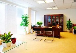 八字看办公室风水是否和谐