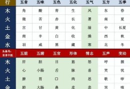 1964年属龙的是什么命