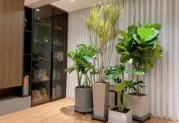 造成运势不好的家居风水