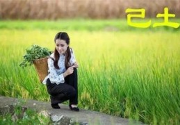 己土日元的女人命好吗