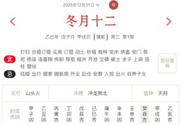 2025年12月31日每日五行穿衣指数解读搭配
