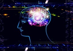 面相学简介：头部大小的相法