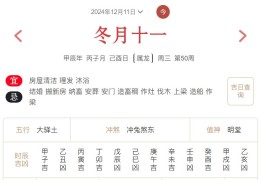 2024年12月11日每日五行穿衣指数解读搭配