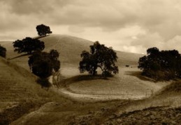 什么八字适合独自创业（什么八字适合独自创业做生意）