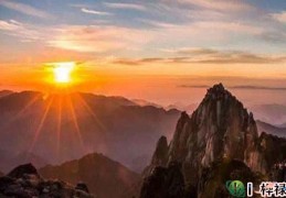 戊土日元生于各月