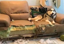 家里东西坏了有何风水寓意